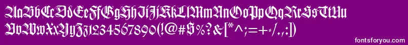 WilhelmKlingsporGotischLt Font – White Fonts on Purple Background