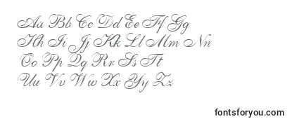 Обзор шрифта Anastasiascript