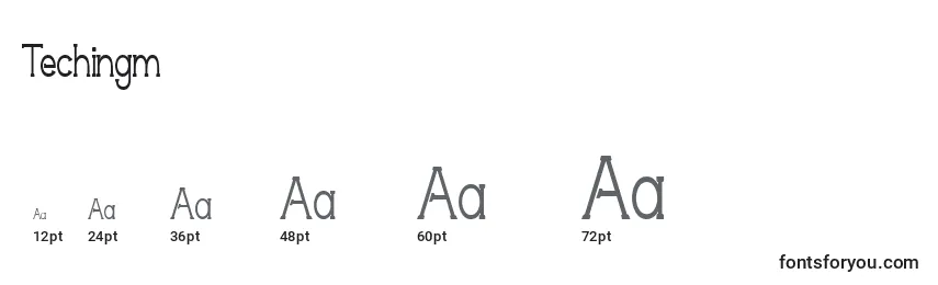 Techingm Font Sizes