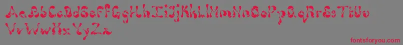 Dollop4.9-Schriftart – Rote Schriften auf grauem Hintergrund