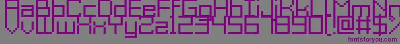 Acme9Regular Font – Purple Fonts on Gray Background