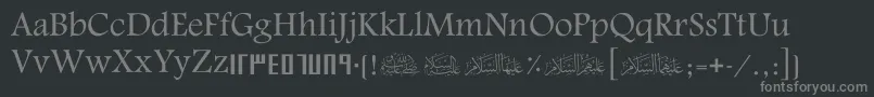 ScAlyermook Font – Gray Fonts on Black Background