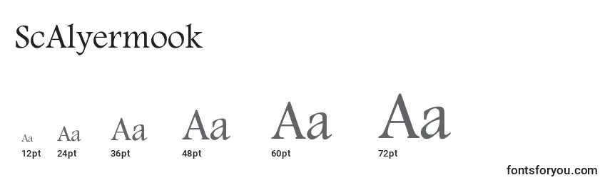 ScAlyermook Font Sizes