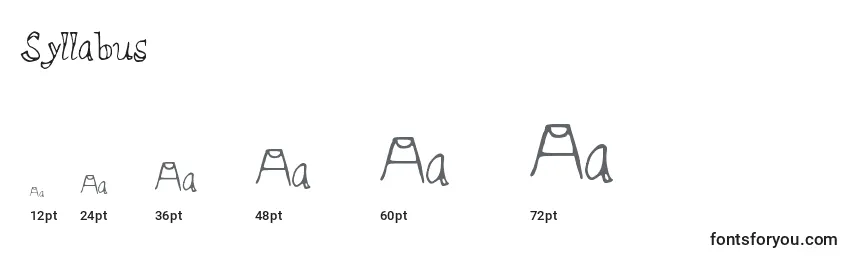 Syllabus Font Sizes