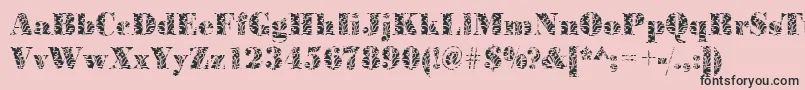 BodoniplantRegular Font – Black Fonts on Pink Background