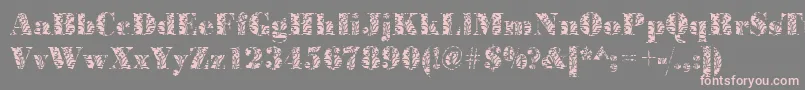 BodoniplantRegular Font – Pink Fonts on Gray Background