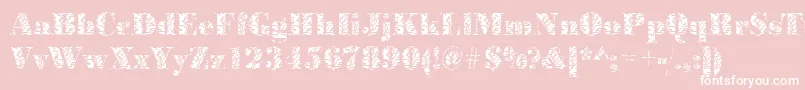 BodoniplantRegular Font – White Fonts on Pink Background