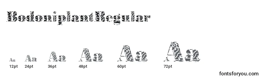 Размеры шрифта BodoniplantRegular