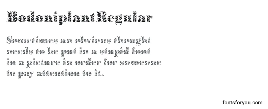 Review of the BodoniplantRegular Font