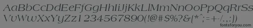 Czcionka AmphionItalic – czarne czcionki na szarym tle