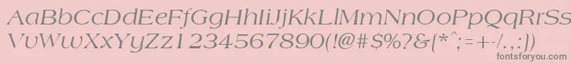 AmphionItalic Font – Gray Fonts on Pink Background