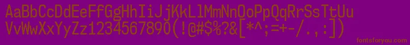 Nk57MonospaceCdRg Font – Brown Fonts on Purple Background