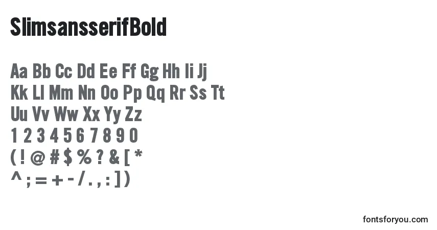 Шрифт SlimsansserifBold – алфавит, цифры, специальные символы