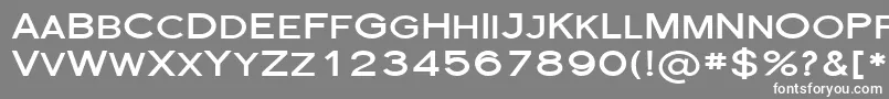 フォントSfflorencesansscexpBold – 灰色の背景に白い文字
