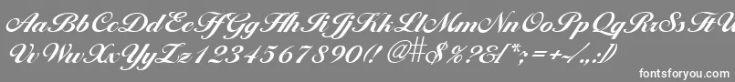 フォントLarissaBold – 灰色の背景に白い文字