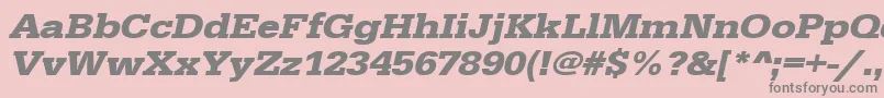 UrwegyptiennetextwidBoldOblique Font – Gray Fonts on Pink Background