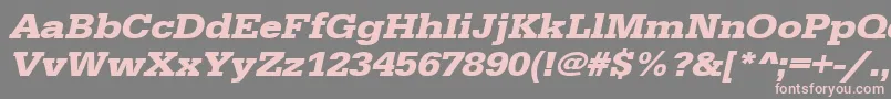 Шрифт UrwegyptiennetextwidBoldOblique – розовые шрифты на сером фоне