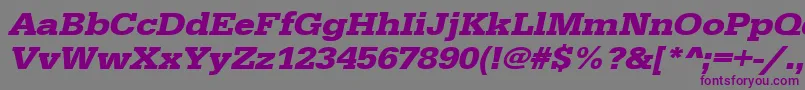 UrwegyptiennetextwidBoldOblique Font – Purple Fonts on Gray Background