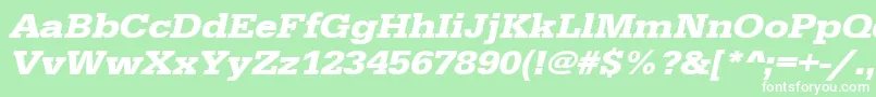 UrwegyptiennetextwidBoldOblique Font – White Fonts on Green Background