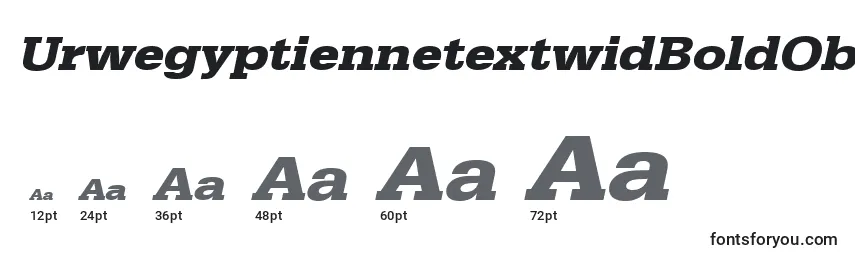 Размеры шрифта UrwegyptiennetextwidBoldOblique