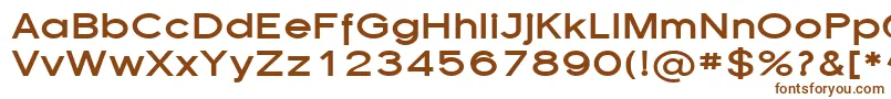 SfflorencesansexpBold-fontti – ruskeat fontit valkoisella taustalla