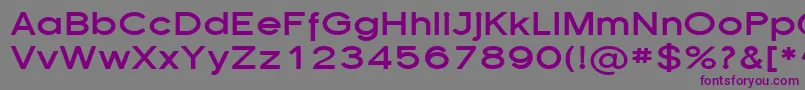 Шрифт SfflorencesansexpBold – фиолетовые шрифты на сером фоне