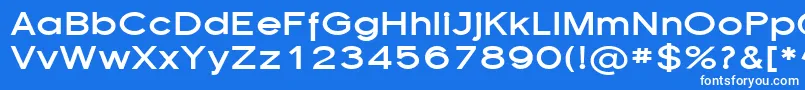 Police SfflorencesansexpBold – polices blanches sur fond bleu