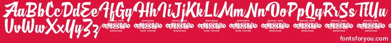フォントMjAlghifariDemo – 赤い背景に白い文字