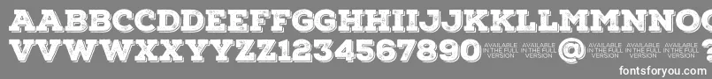 Шрифт NexarustslabBlackshadow01 – белые шрифты на сером фоне