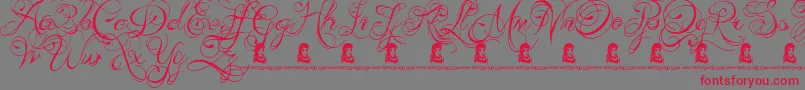 フォントKingsAndQueens – 赤い文字の灰色の背景