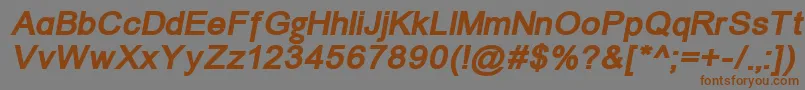 ErUniversKoi8BoldItalic Font – Brown Fonts on Gray Background