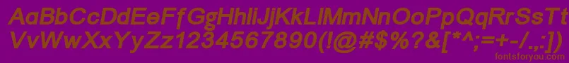 ErUniversKoi8BoldItalic Font – Brown Fonts on Purple Background