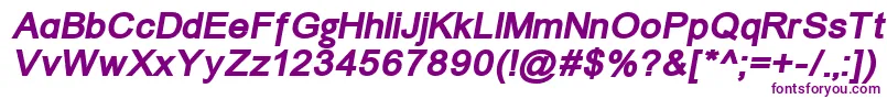 ErUniversKoi8BoldItalic Font – Purple Fonts