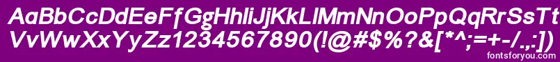 ErUniversKoi8BoldItalic Font – White Fonts on Purple Background