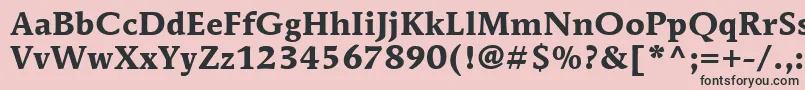 ItcMendozaRomanLtBold Font – Black Fonts on Pink Background