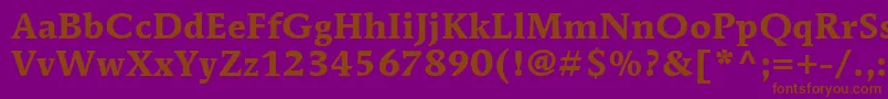 ItcMendozaRomanLtBold Font – Brown Fonts on Purple Background