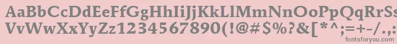 ItcMendozaRomanLtBold Font – Gray Fonts on Pink Background