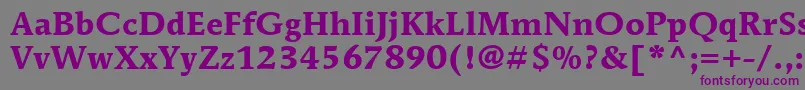 ItcMendozaRomanLtBold Font – Purple Fonts on Gray Background