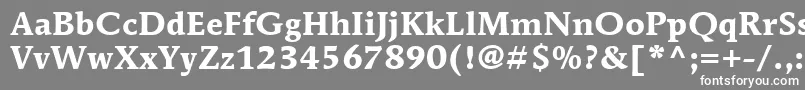 フォントItcMendozaRomanLtBold – 灰色の背景に白い文字