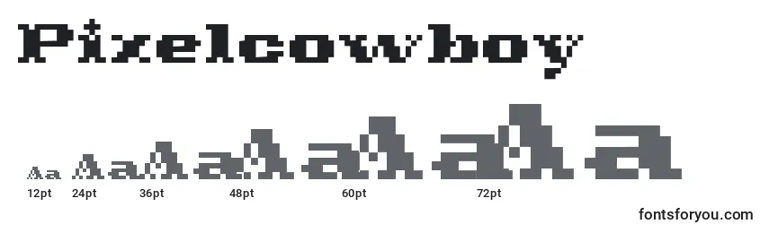 Größen der Schriftart Pixelcowboy