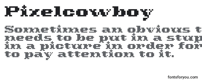 Шрифт Pixelcowboy