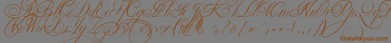 EkaterinaVelikayaTwo-Schriftart – Braune Schriften auf grauem Hintergrund