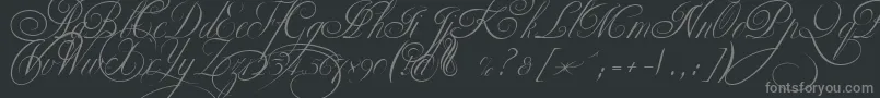 EkaterinaVelikayaTwo Font – Gray Fonts on Black Background