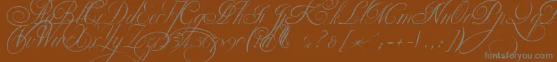 EkaterinaVelikayaTwo Font – Gray Fonts on Brown Background