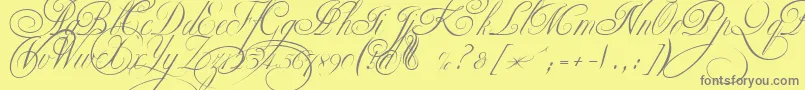 EkaterinaVelikayaTwo-Schriftart – Graue Schriften auf gelbem Hintergrund