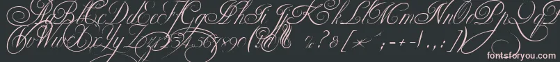 EkaterinaVelikayaTwo Font – Pink Fonts on Black Background