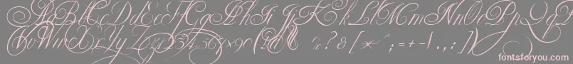 EkaterinaVelikayaTwo-Schriftart – Rosa Schriften auf grauem Hintergrund