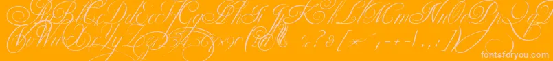 EkaterinaVelikayaTwo-Schriftart – Rosa Schriften auf orangefarbenem Hintergrund