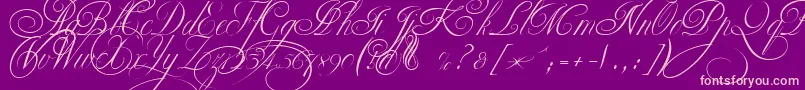 Weitere Informationen zur EkaterinaVelikayaTwo-Schriftart EkaterinaVelikayaTwo-Schriftart – Rosa Schriften auf violettem Hintergrund