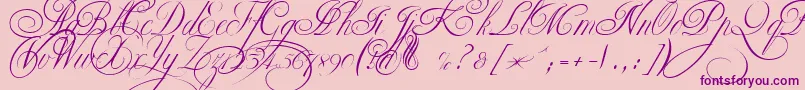 EkaterinaVelikayaTwo Font – Purple Fonts on Pink Background